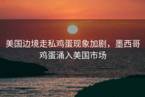美國邊境走私雞蛋現象加劇，墨西哥雞蛋涌入美國市場