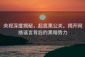 央視深度揭秘，起底黑公關，揭開網絡謠言背后的黑暗勢力