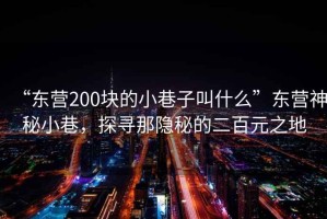 “東營200塊的小巷子叫什么”東營神秘小巷，探尋那隱秘的二百元之地