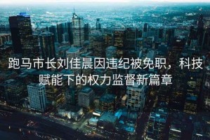 跑馬市長劉佳晨因違紀被免職，科技賦能下的權力監督新篇章