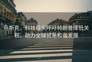 馬斯克，科技巨頭呼吁特朗普降低關稅，助力全球貿(mào)易和諧發(fā)展
