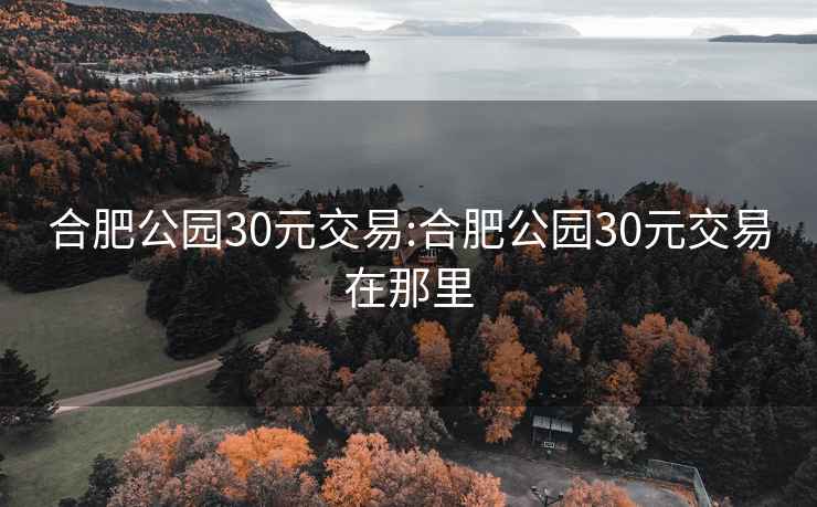 合肥公園30元交易:合肥公園30元交易在那里