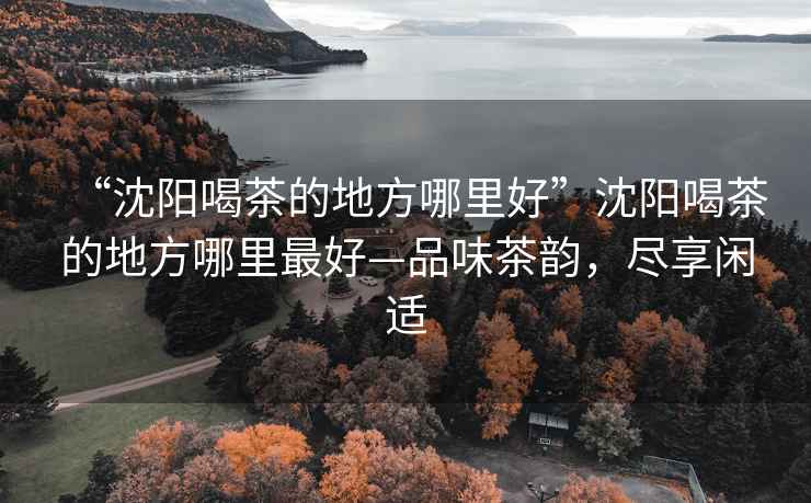 “沈陽喝茶的地方哪里好”沈陽喝茶的地方哪里最好—品味茶韻，盡享閑適