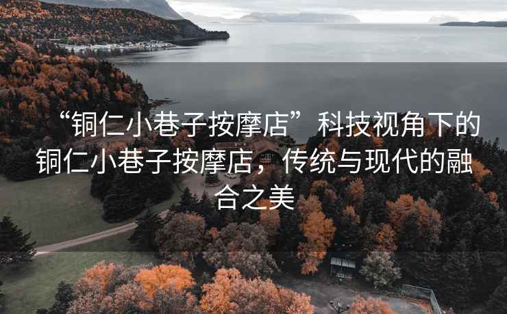 “銅仁小巷子按摩店”科技視角下的銅仁小巷子按摩店，傳統(tǒng)與現(xiàn)代的融合之美