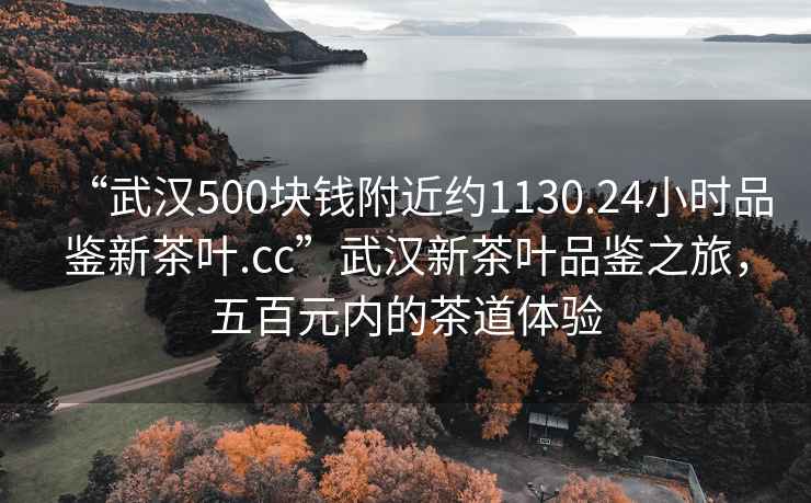 “武漢500塊錢附近約1130.24小時品鑒新茶葉.cc”武漢新茶葉品鑒之旅，五百元內的茶道體驗